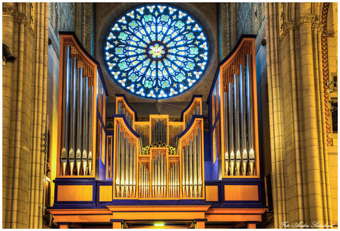 Orgelkonzert in der Kathedrale von Uppsala (SWE)