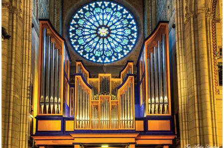 Organ recital Uppsala Cathedral (SWE)
