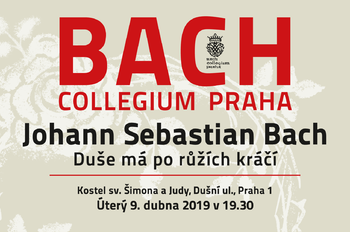 Koncert: Bach-Collegium Praha - Duše má po růžích kráčí