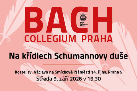 Na křídlech Schumannovy duše